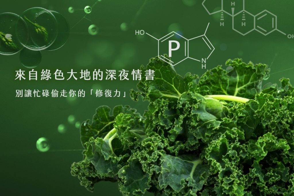 日安好適02 - 報新聞 Mega News %E6%97%A5%E5%AE%89%E5%A5%BD%E9%81%A902 1024x683 1