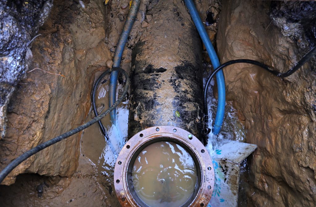 S 497754187 0 1024x673 1