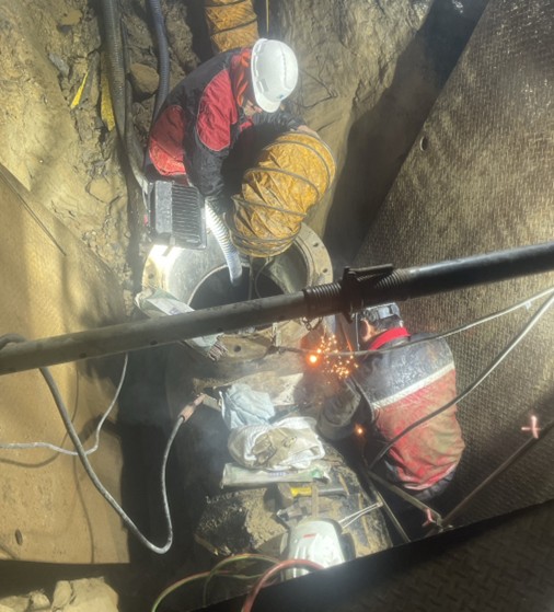 S__497958957 - 報新聞 Mega News S 497958957