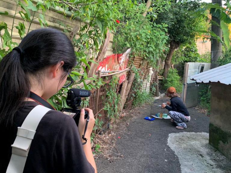 20260128154550 c8ff15fa