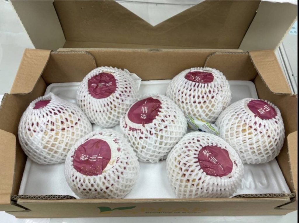 inbound2303629538395548180 - 報新聞 Mega News inbound2303629538395548180 1024x762 1