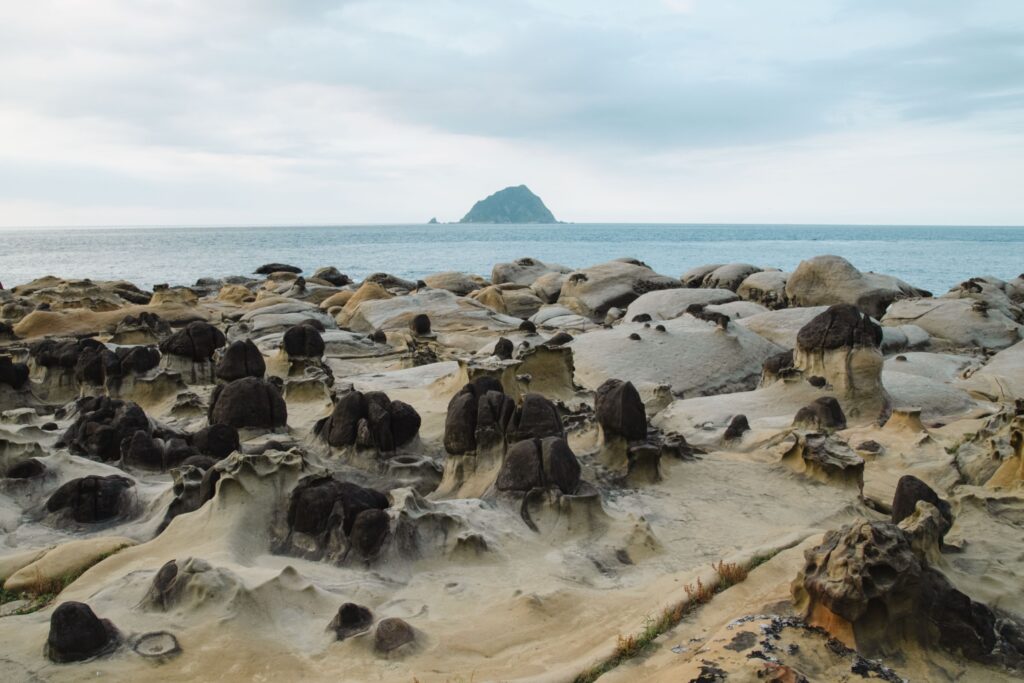 1769659991386 1024x683 1