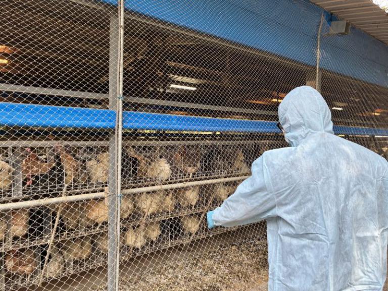 20260129144127 f6a988a3