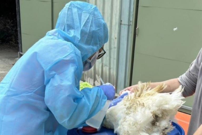 20260129144241 f5a4e6b0