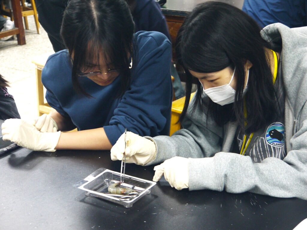 推廣生命科學 中山醫大攜手科博館舉辦高中研習營隊 11 02 %E5%8F%83%E8%88%87%E7%87%9F%E9%9A%8A%E7%9A%84%E9%AB%98%E4%B8%AD%E5%AD%B8%E7%94%9F%E5%9C%A8%E4%B8%AD%E5%B1%B1%E9%86%AB%E5%A4%A7%E5%AF%A6%E9%A9%97%E5%AE%A4%E9%80%B2%E8%A1%8C%E7%AF%80%E8%82%A2%E5%8B%95%E7%89%A9%E8%A7%A3%E5%89%96%E5%AF%A6%E4%BD%9C%E9%AB%94%E9%A9%97%E7%94%9F%E7%A7%91%E7%A0%94%E7%A9%B6 1024x768 2