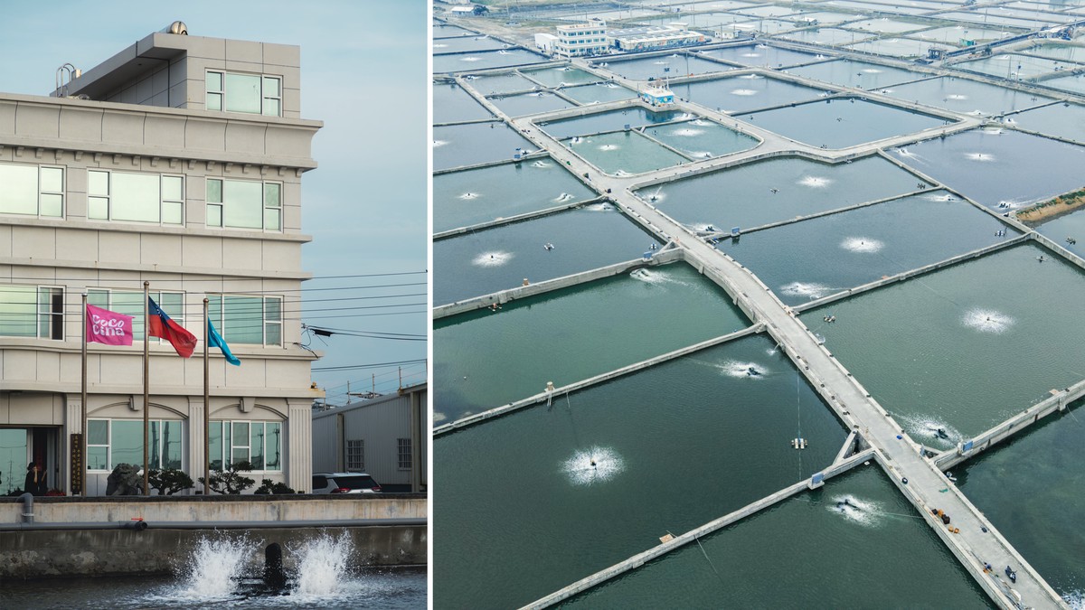 f8d97e12 faad 4f09 a1fa 14e4bd1aa0ae 176973844855577721503008228