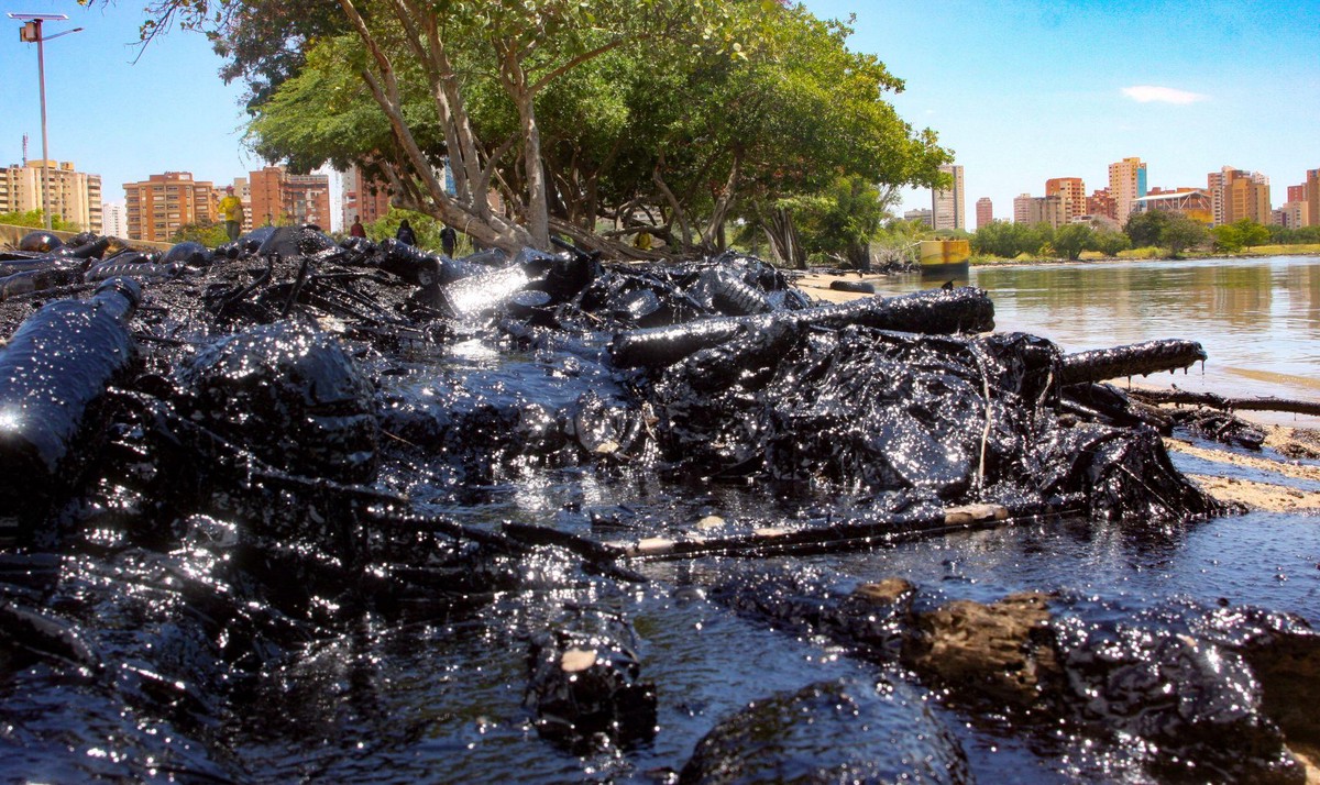 d9460a48 a14e 4a2d 9827 0da968c53d4b