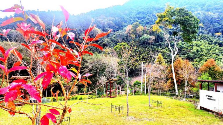 竹縣露營場合法化添新頁! 核發首件農牧用地露營場登記 3 20260130161354 4f5678cd