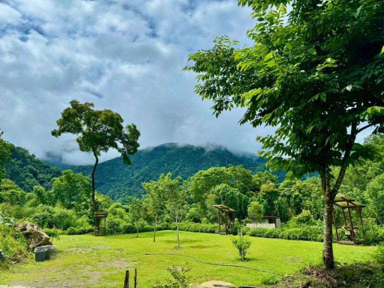 20260130161533 f4c9d2a8