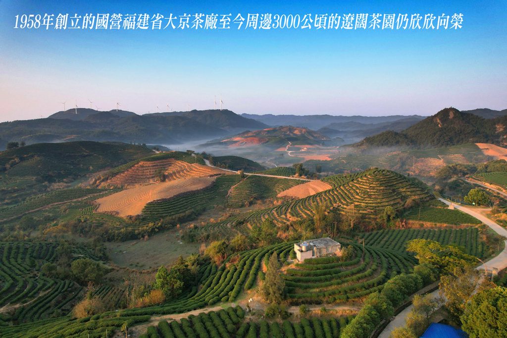 default - 報新聞 Mega News 1958%E5%B9%B4%E5%89%B5%E7%AB%8B%E7%9A%84%E5%9C%8B%E7%87%9F%E7%A6%8F%E5%BB%BA%E7%9C%81%E5%A4%A7%E4%BA%AC%E8%8C%B6%E5%BB%A0%E8%87%B3%E4%BB%8A%E5%91%A8%E9%82%8A3000%E5%85%AC%E9%A0%83%E7%9A%84%E9%81%BC%E9%97%8A%E8%8C%B6%E5%9C%92%E4%BB%8D%E6%AC%A3%E6%AC%A3%E5%90%91%E6%A6%AE 1024x682 1