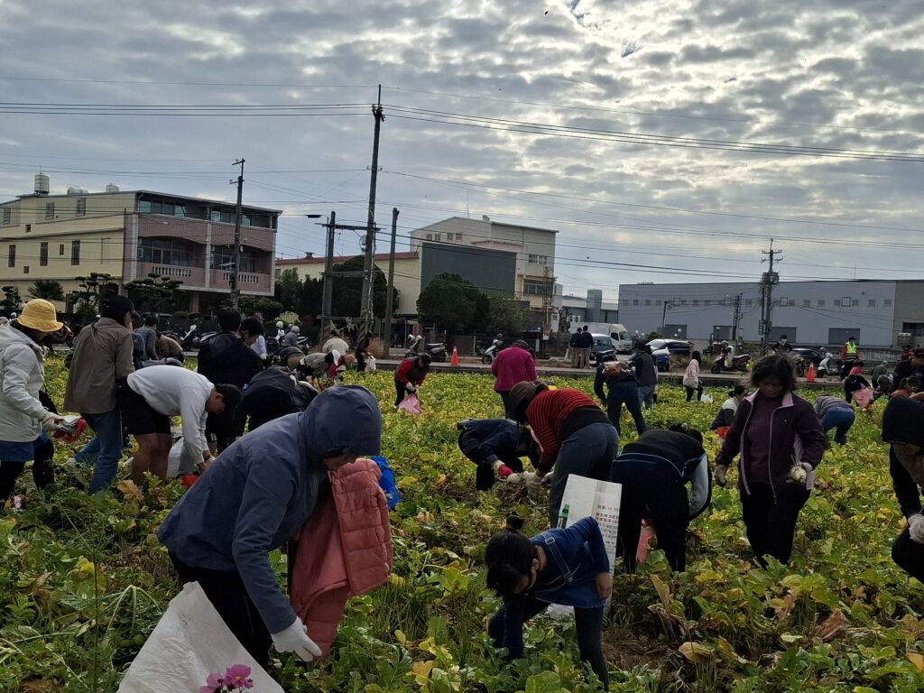 台中烏日「漫步花田 拔蘿蔔趣」 體驗農村慢生活 2 %E6%B0%91%E7%9C%BE%E7%8F%BE%E5%A0%B4%E6%8B%94%E8%98%BF%E8%94%94 1 1024x768 1
