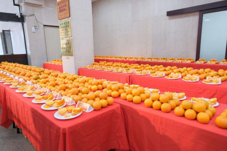 20260203161719 7dfc8018