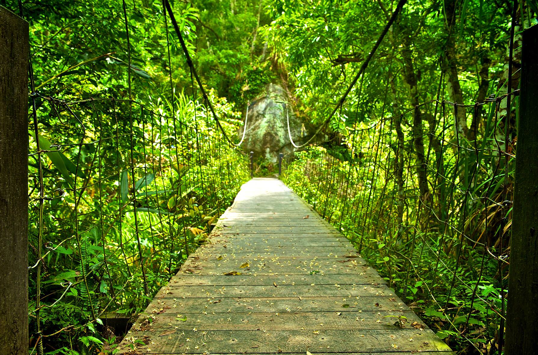 %E5%A4%AA%E9%AD%AF%E9%96%A3%E6%99%B6%E8%8B%B1%E5%9C%961