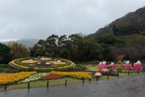 MEITU 20260204 125432345 300x200 1