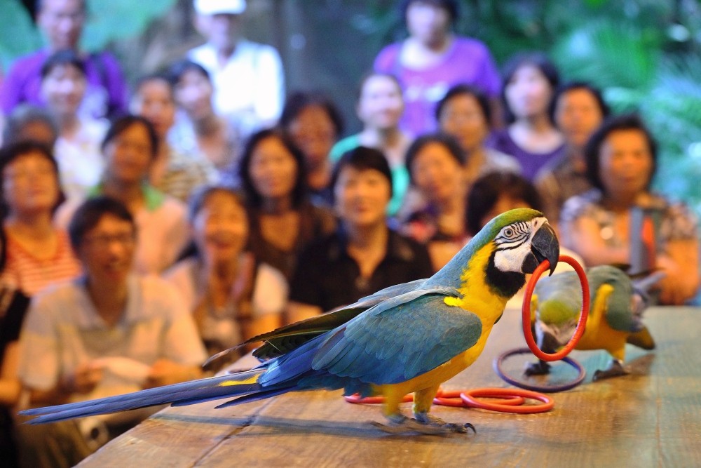 b253bcb9 965c 4e58 b471 533b95a4ec38 177025984699567422204077903