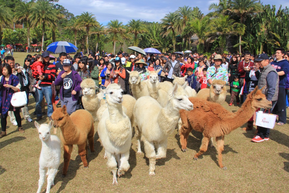 03%E7%B6%A0%E4%B8%96%E7%95%8C%E6%8E%A8%E5%87%BA%E9%A6%AC%E5%85%8D%E8%B2%BB%E8%B6%85%E6%AE%BA%E5%84%AA%E6%83%A0