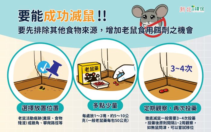 《圖說》民眾若於居家或社區發現老鼠蹤跡，可視情況使用殺鼠劑，並掌握「靠牆放、多點少量、持續觀察」三大原則。〈環保局提供〉