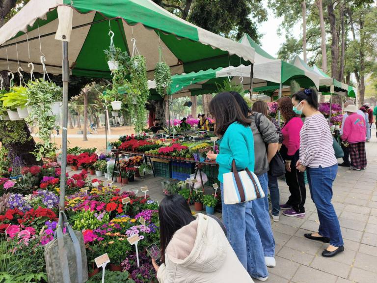 20260205182823 e82ceae8