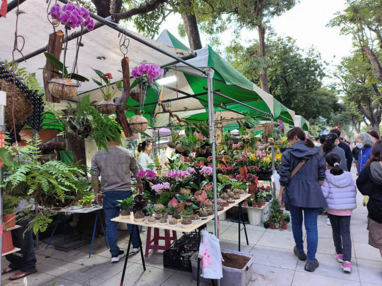 20260205182948 8c5b1c77