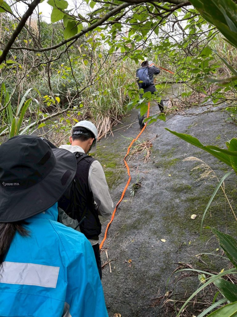 S 502120459 0 768x1024 1