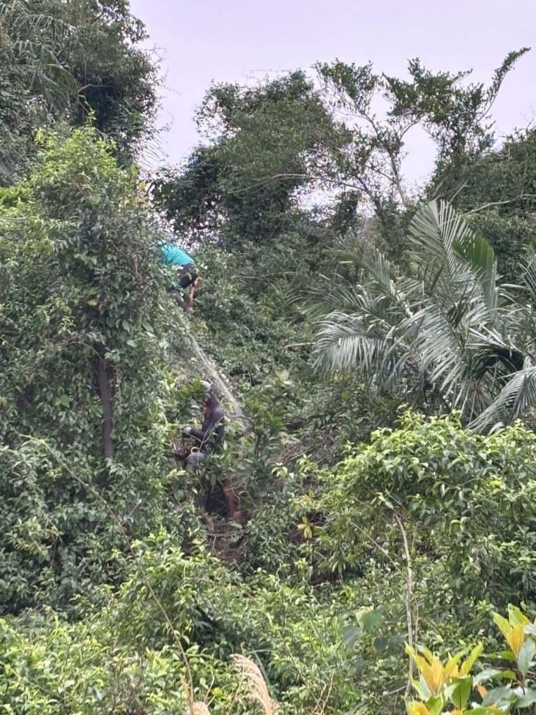 S 502120460 0 768x1024 1