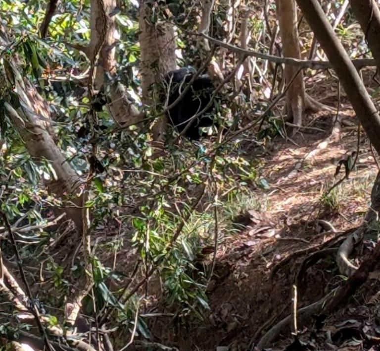 20260205221101 a38dfcdb