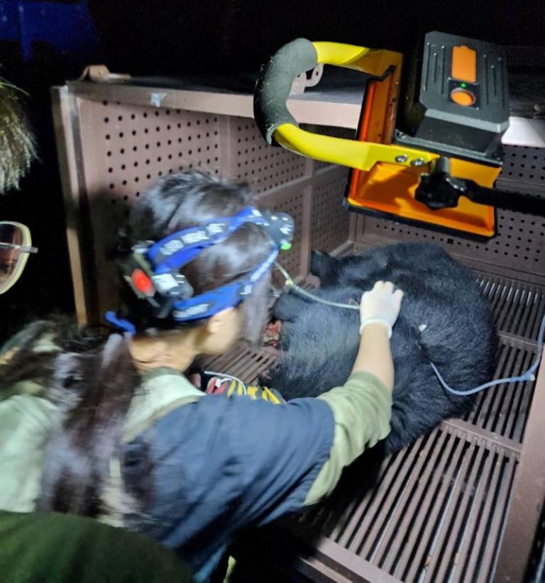 20260205221214 05bfd0d2