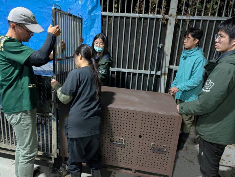 20260205221256 a1b57660