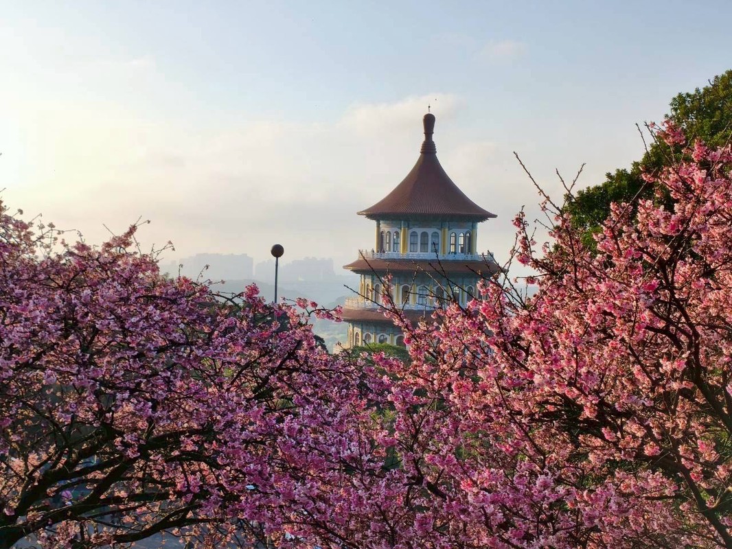 b2bd718b 28df 43b1 820b 96397fd421ce