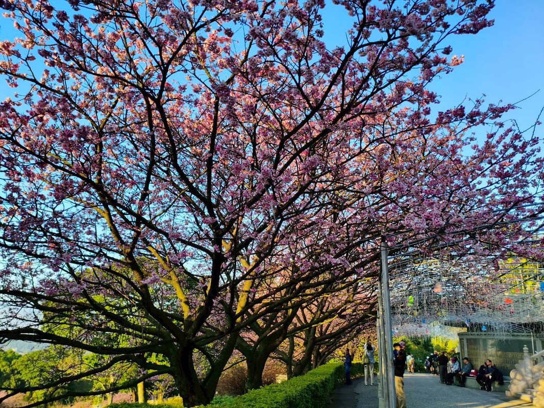 b2bd718b 28df 43b1 820b 96397fd421ce 177036306911313654906090982