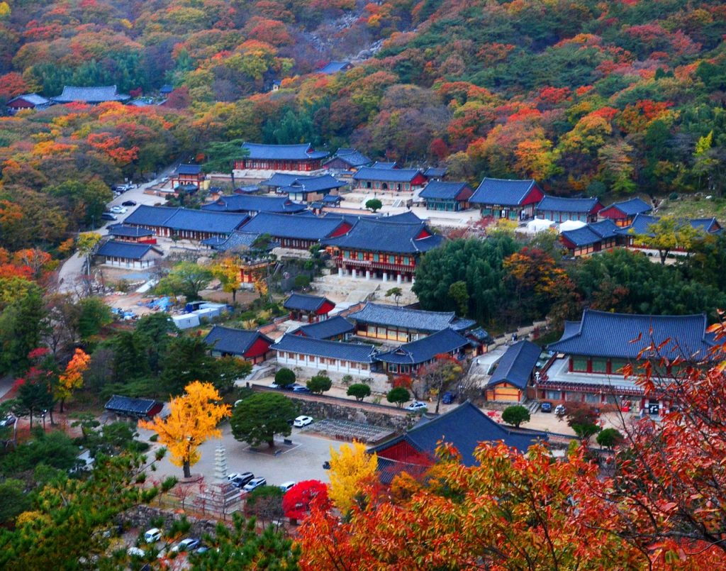 No 250029 1 %E9%87%91%E4%BA%95%E5%B1%B1%E6%A2%B5%E9%AD%9A%E5%AF%BA%EB%B2%94%EC%96%B4%EC%82%AC %E4%BE%86%E6%BA%90 %E9%9F%93%E5%9C%8B%E8%A7%80%E5%85%89%E5%85%AC%E7%A4%BE 1024x805 1