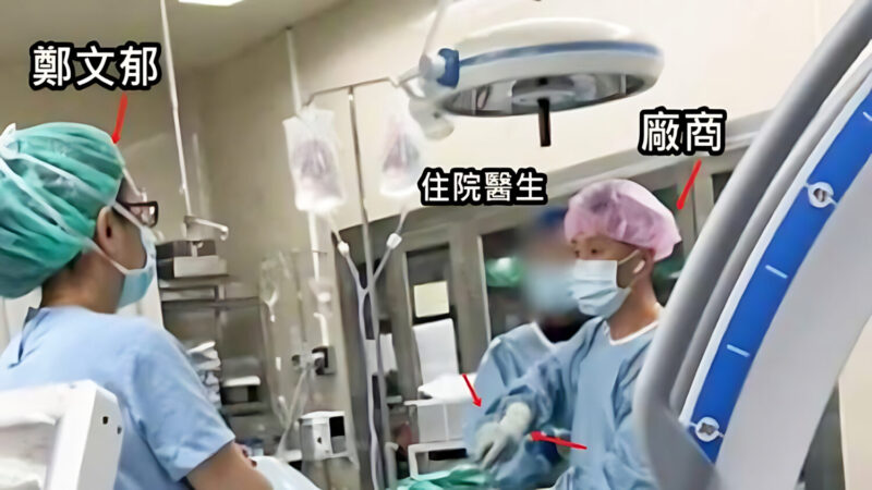 e5b619163e89 upscayl 5x upscayl lite 4x 800x450 1