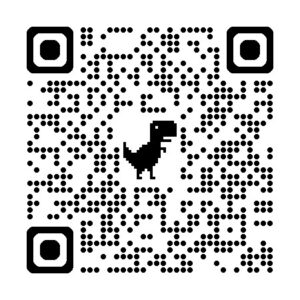 1770522296338 300x300 1