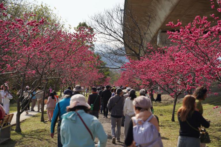 20260210145958 d60a2c32