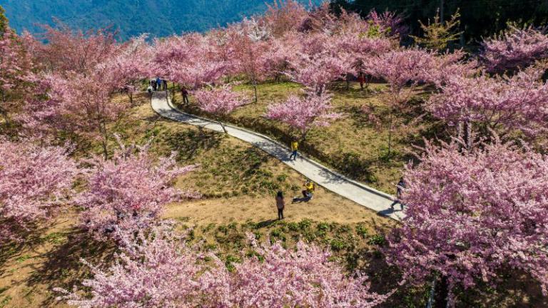 20260210150558 a541afa0