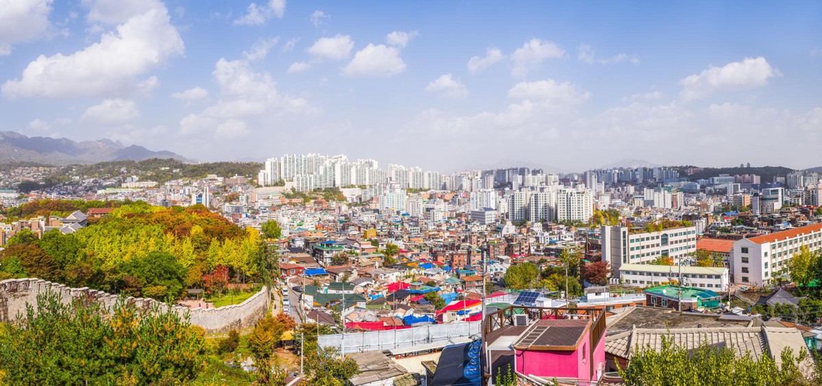 6ea20d5e 21c8 435a 9294 ed8d6b743d9d