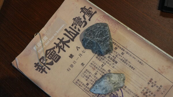 20260211135226 95 600x337 1