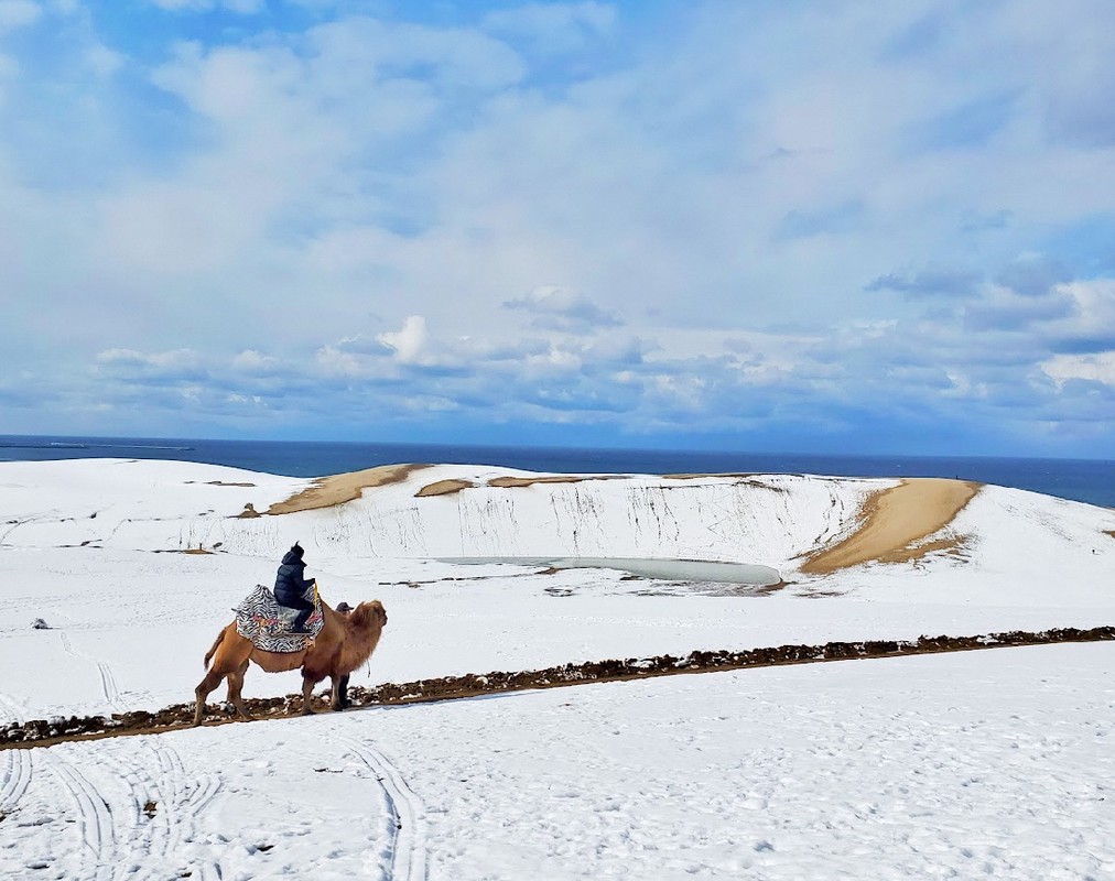 8ce97871 21ca 45eb 88d8 388c5f13cdab