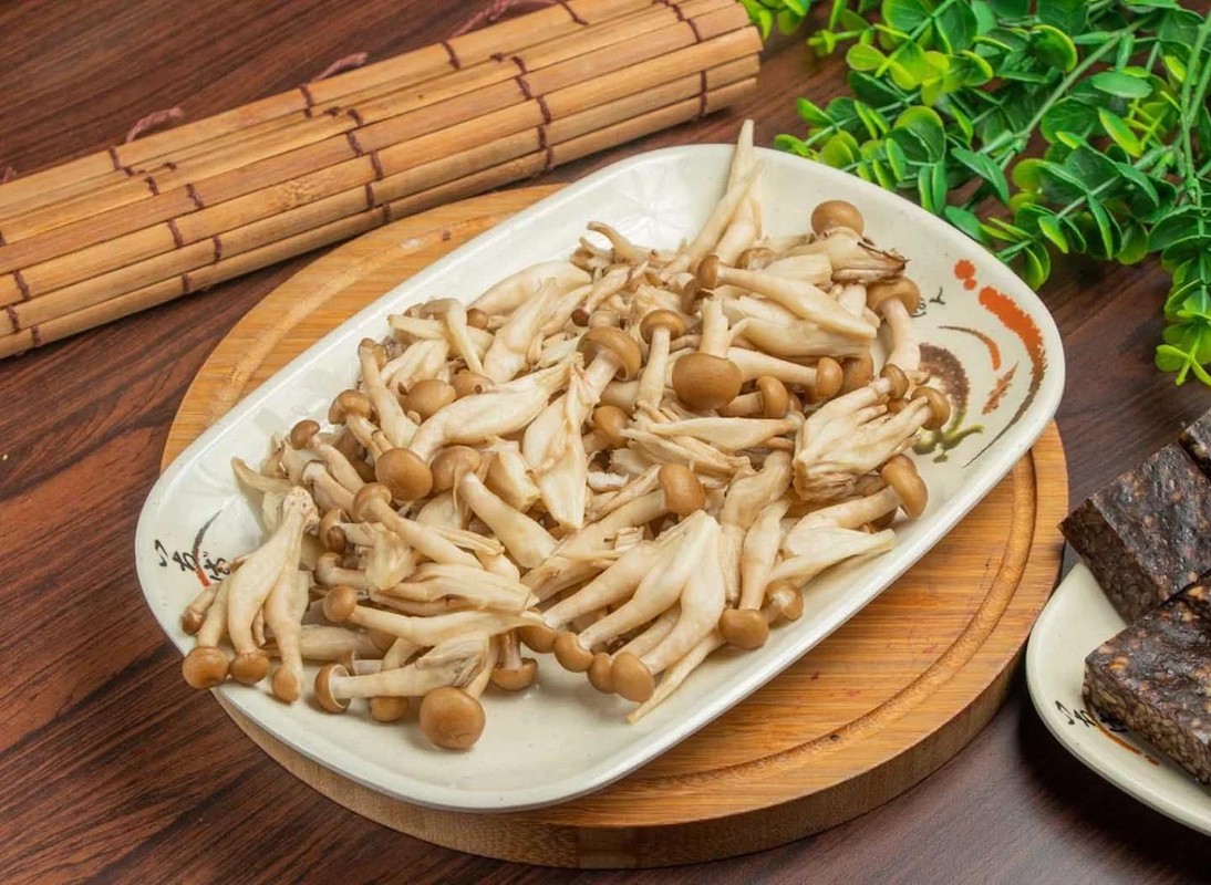 82131318 fe6b 4fd0 bd9b 5e53312eb7ff 177079047815922103200854055