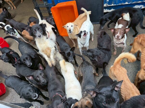 20260211144628 35 600x450 1