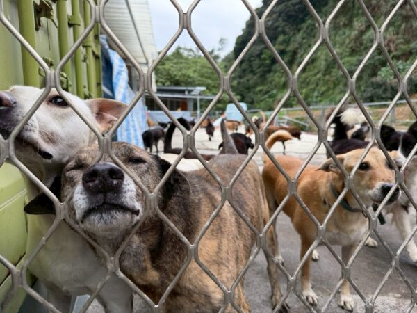 20260211144743 43 600x450 1