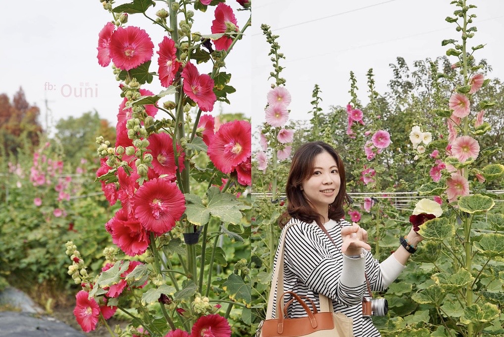 52A6DBF2 30DC 4D46 9142 3785BAD021A7