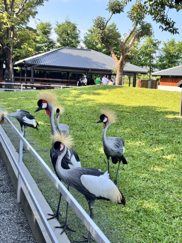 S 15048800 768x1024 1