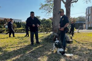 MEITU 20260212 152043717 300x200 1