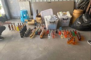 MEITU 20260212 152308129 300x200 1