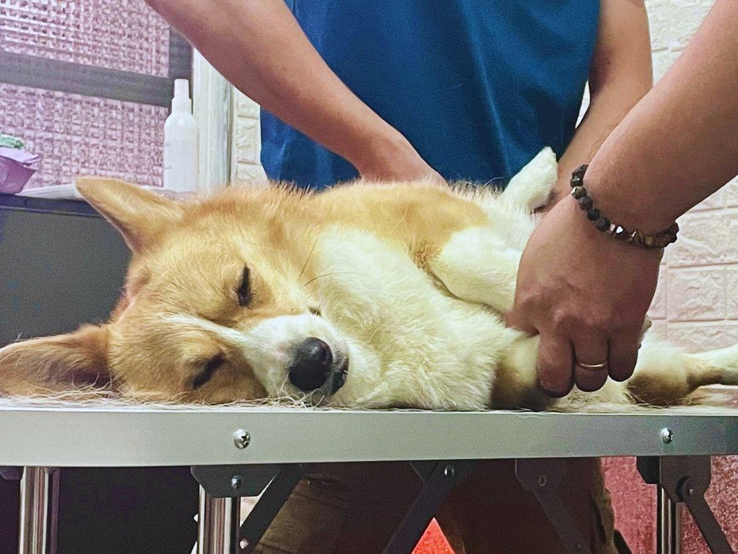 c8c55267 f435 4e18 9eba e5c1eac3601d 177087839940791238302832435