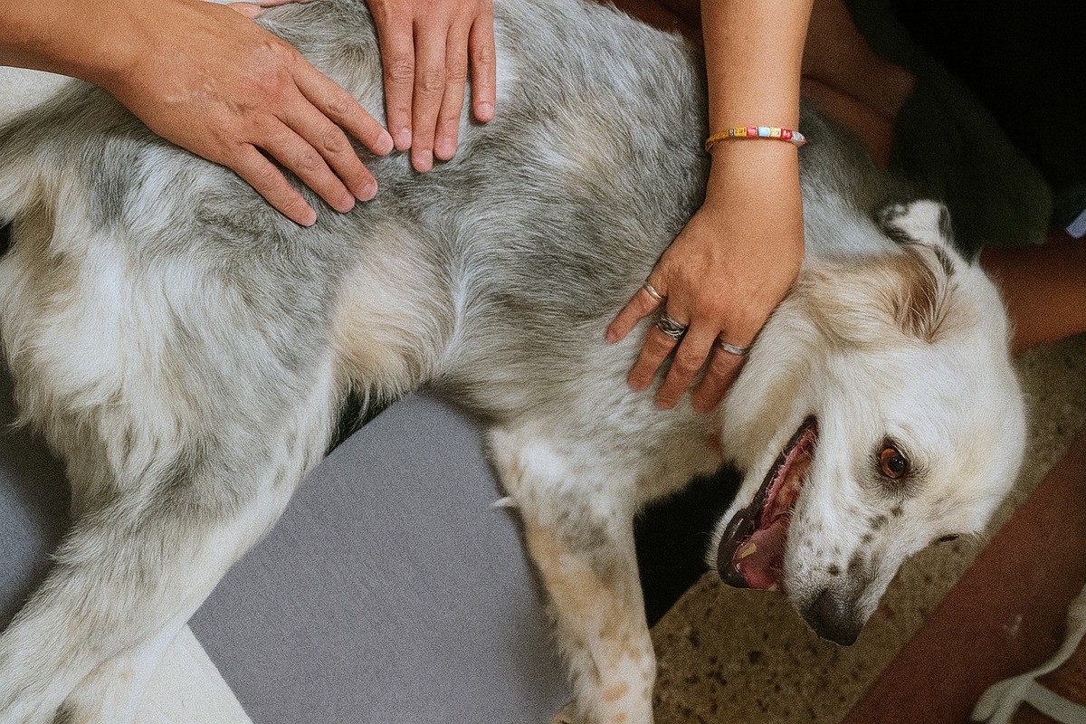 c8c55267 f435 4e18 9eba e5c1eac3601d 177087842068162259508418226