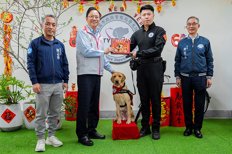 20260212210113 55bec21e