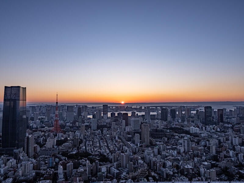 8d7d770b a455 4e02 9eb0 2e53410f34e5