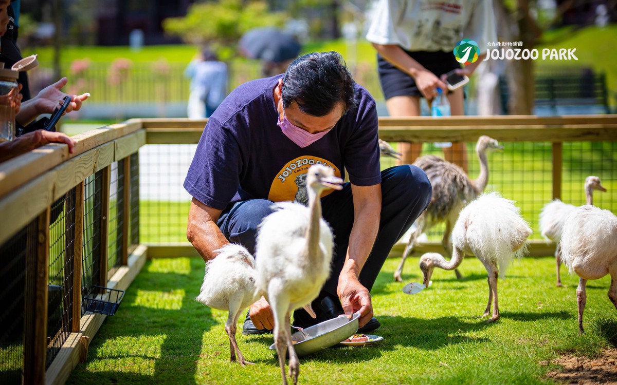 宜蘭萌寵農場風暴後的曙光!九九峰動物樂園「生命守護計畫」 專業醫療接手確保動物福祉 19 d82f4c73 8a7f 44f3 9caa e3e0265c7ddc